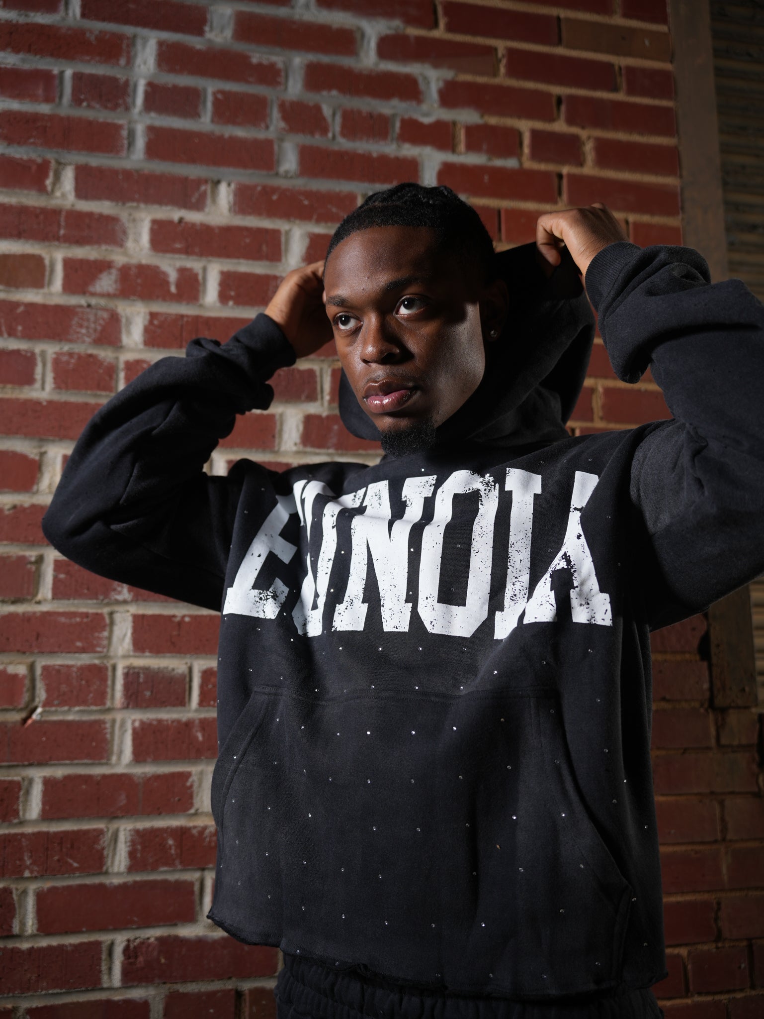 EUNOIA Rhinestone Hoodie